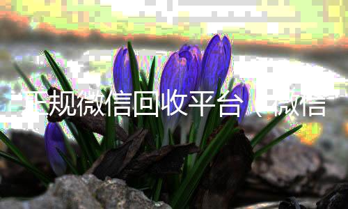 正规微信回收平回收微信平台台（微信回收平台联系方式）
